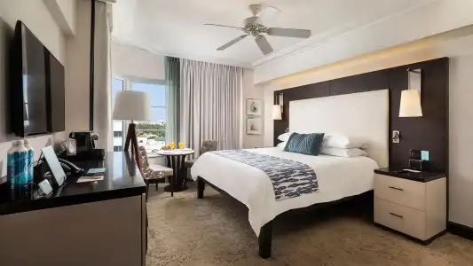 The Palms & Spa - 73