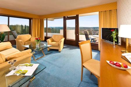 Ahorn Harz Braunlage - 6