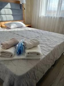 ОАЗИС домики - 202