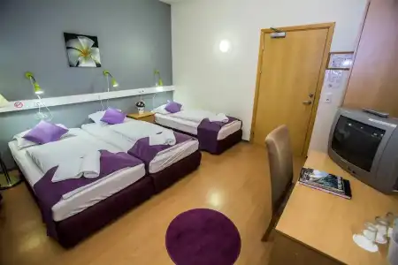 The Capital-Inn - 50