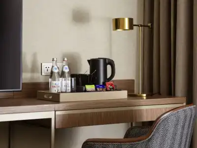 Swissôtel Wellness Resort Alatau - 59