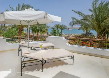 Iberotel Palace - Adults Friendly 16 Years Plus - 25