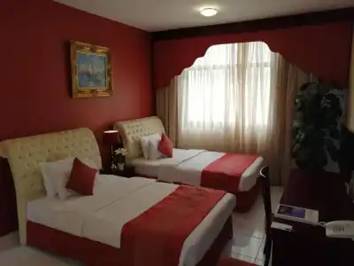 Al Maha Regency Suites - Managed by Aoudi Consultants - 9
