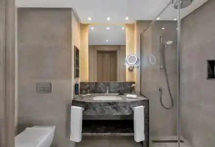 Hilton Alexandria Green Plaza - 76