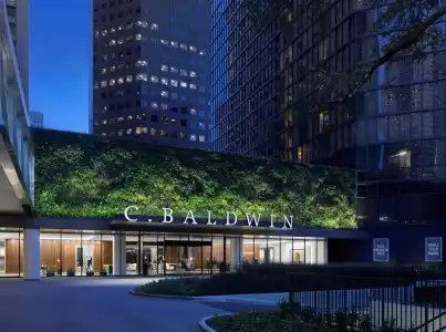 C. Baldwin, Curio Collection by Hilton - 41