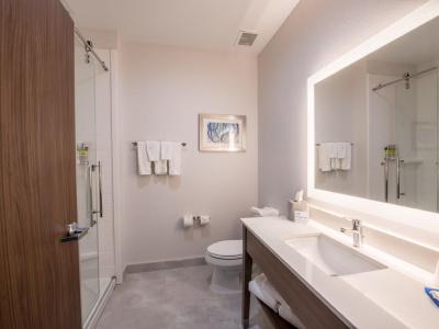 Holiday Inn Express & Suites HOUSTON WESTCHASE - WESTHEIMER by IHG - 58