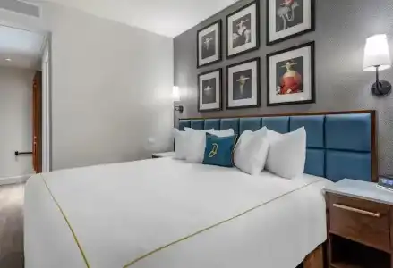 The Draper New York, Tapestry Collection by Hilton - 50