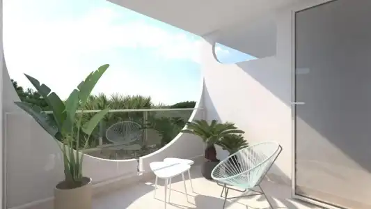 Vibra Palma Cactus - 5