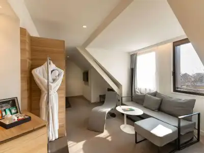 Novotel Suites Colmar Centre - 44