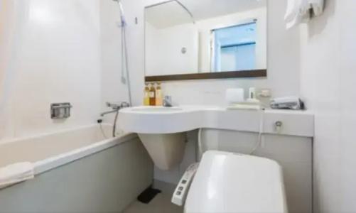 Holiday Inn Ana Sapporo Susukino by IHG - 64