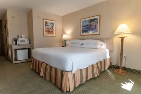 Howard Johnson by Wyndham Anaheim and Water Playground - 87