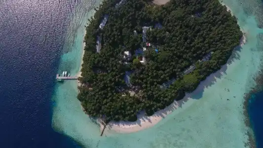 Biyadhoo Island Resort - 24