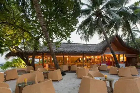 Niva Kuramathi Maldives - 13
