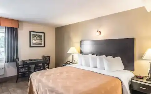 Quality Inn & Suites near Downtown Bakersfield - 34