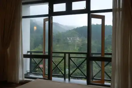 Alta Vista - 12