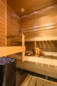 Laplands Sirkantähti - 67