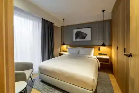 Radisson & Apartments - 80