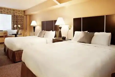 Comfort Suites Downtown - 25