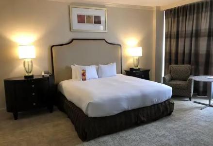 Hilton Houston Post Oak by the Galleria - 59