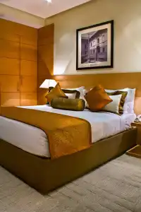 Radisson Blu Marina Connaught Place - 35