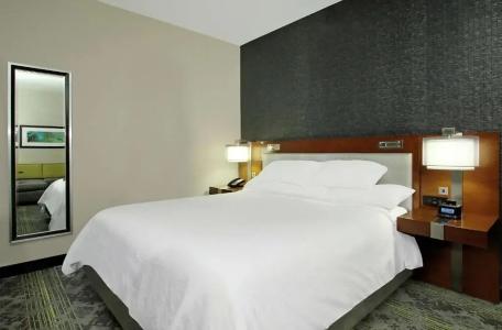 Embassy Suites by Hilton Pittsburgh Downtown - 87