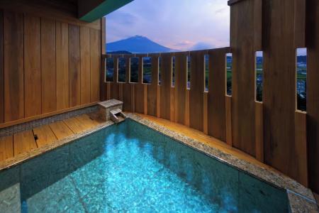 Fujisan Onsen Kaneyamaen - 116