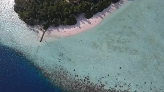 Biyadhoo Island Resort - 22