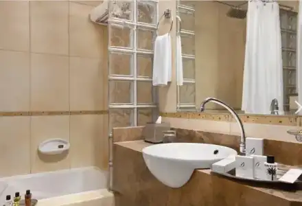 Mughal Suites - 28