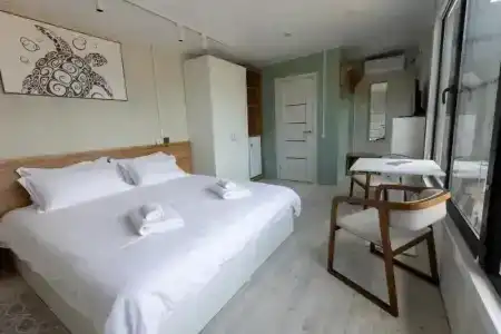 Lazurnaya cherepaha - 84