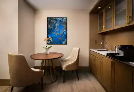 Blossom Houston, Curio Collection by Hilton - 28