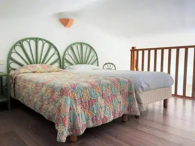 Le Provençal - 3
