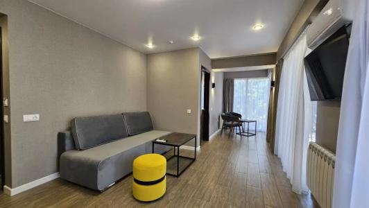 Бристоль - 38