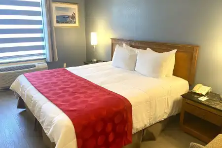 Ramada by Wyndham Los Angeles/Koreatown West - 14
