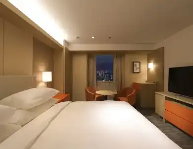 Sheraton Miyako Osaka - 42