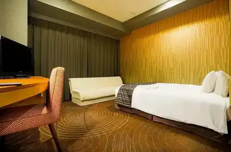 Sotetsu Fresa Inn Higashi Shinjuku - 45