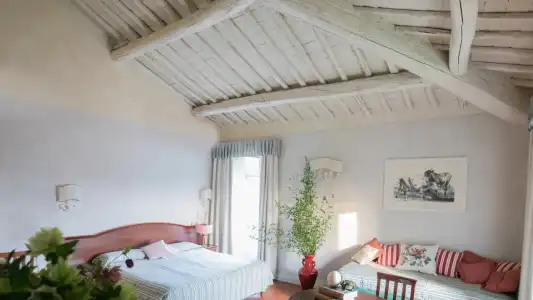 Fattoria di Maiano - 36