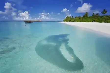 Angaga Island Resort and Spa - 18