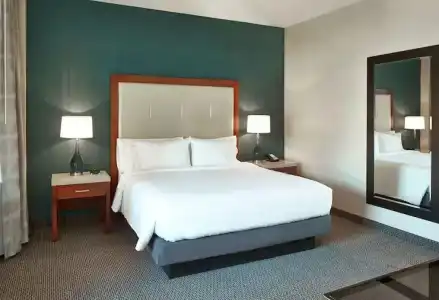 Hilton Garden Inn Phoenix Downtown - 67