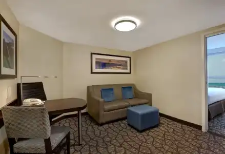 Hyatt Regency Niagara Falls Fallsview - 72