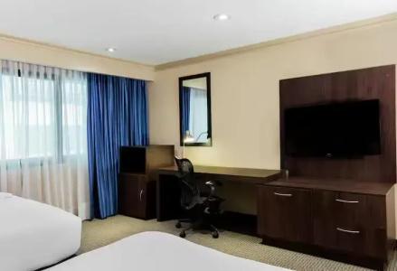 Hilton Mexico City Airport - 65