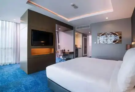 Radisson Blu, Kayseri - 77