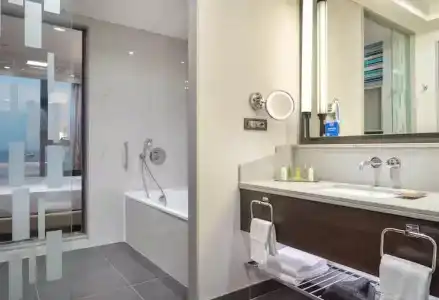 Hilton Bakirkoy - 85