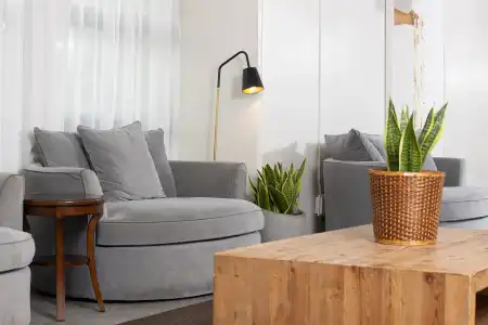 Ohia Waikiki Studio Suites - 18