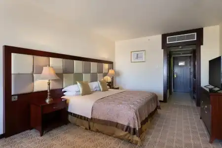 Grand Excelsior - 83