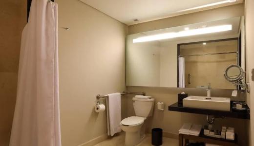 JW Marriott Mexico City Santa Fe - 42