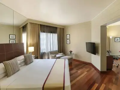 Hyatt Regency Delhi - 42