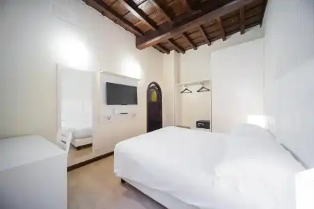 Trevi 41 - 18