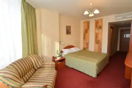 Tsentralny EuroHotel - 103