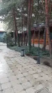 Toshkent - 8