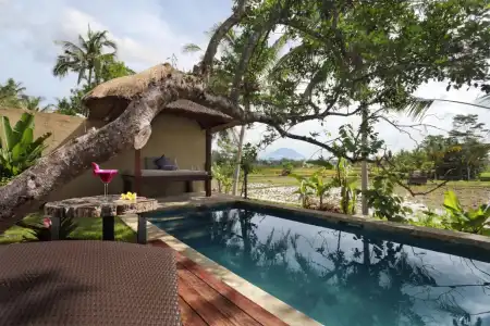 Temuku Ubud Villas - 49